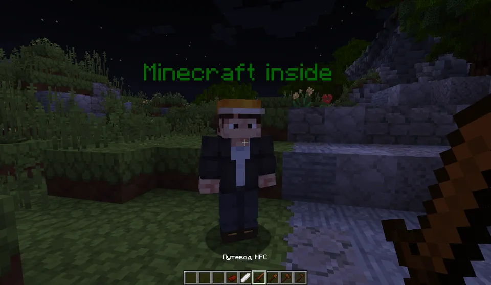 CustomNPCs-Unofficial — Minecraft mod, rasm 3