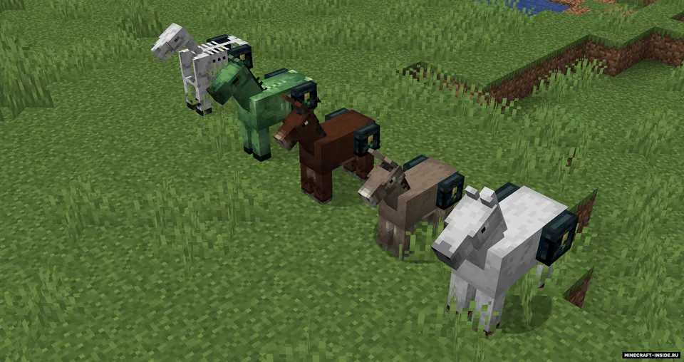 Ender Chested — Minecraft mod, rasm 3