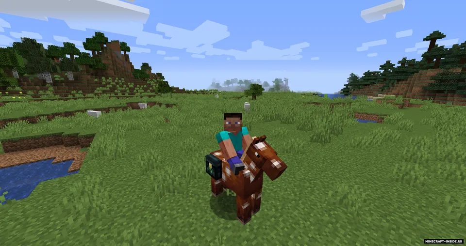 Ender Chested — Minecraft mod, rasm 4