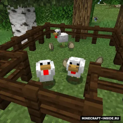 Despawning Eggs Hatch
