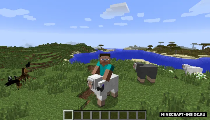 RideOn — Minecraft mod, rasm 2