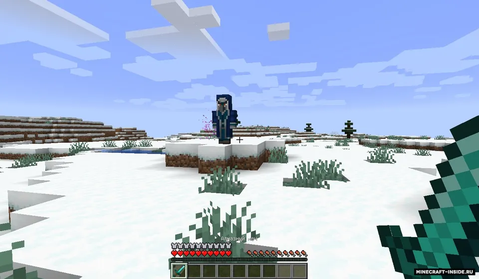 Iceologer — Minecraft mod, rasm 2