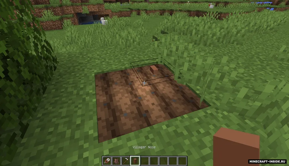 Villagers Nose Reborn — Minecraft mod, rasm 4