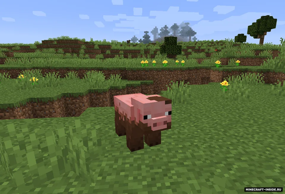Iflos mod — Minecraft mod, rasm 2