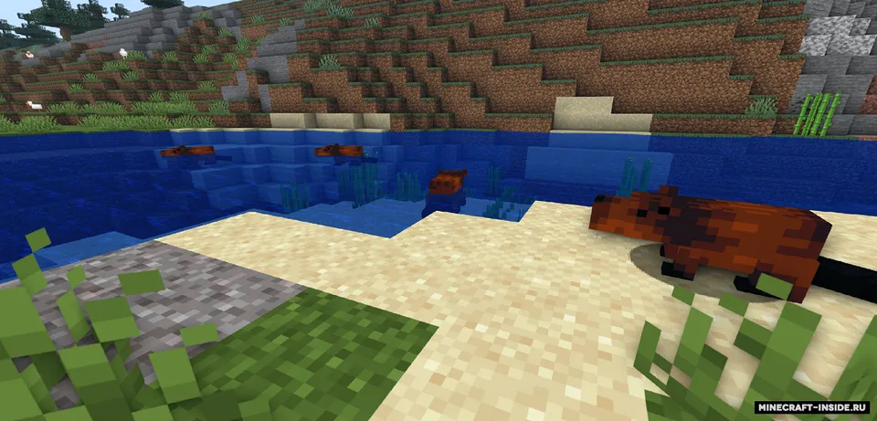 Animal update — Minecraft mod, rasm 7