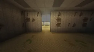 The Backrooms — Minecraft mod, rasm 4