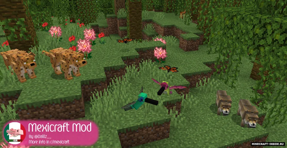 Mexicraft — Minecraft mod, rasm 3