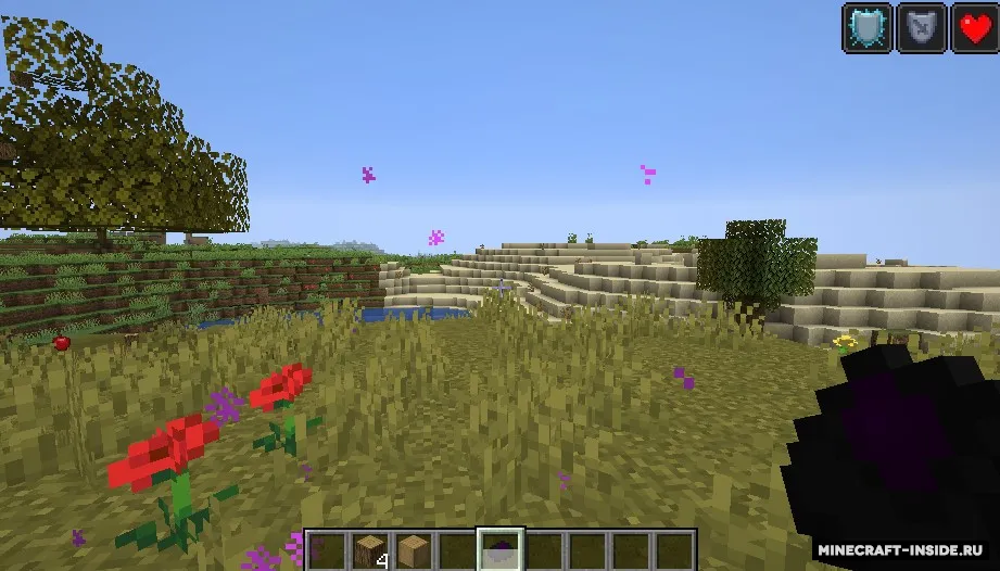 Dracomelette — Minecraft mod, rasm 2