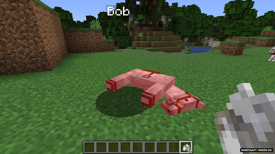 Save Your Pets — Minecraft mod, rasm 2
