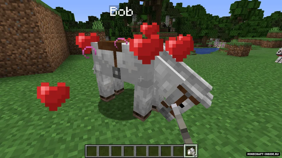 Save Your Pets — Minecraft mod, rasm 3