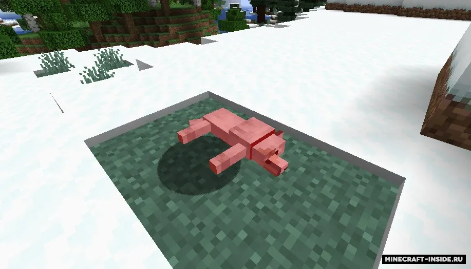Save Your Pets — Minecraft mod, rasm 4
