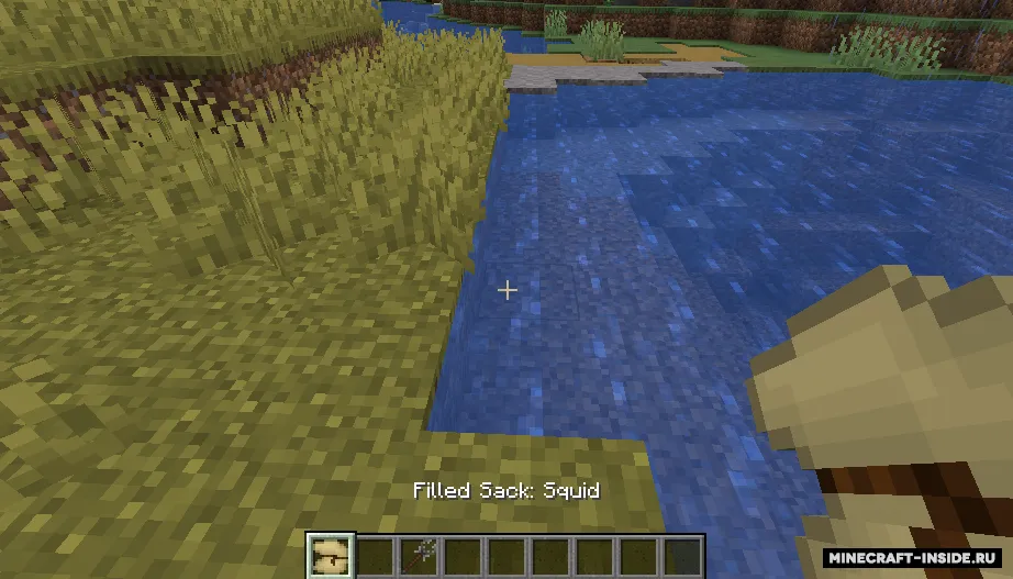 Man Catcher — Minecraft mod, rasm 3