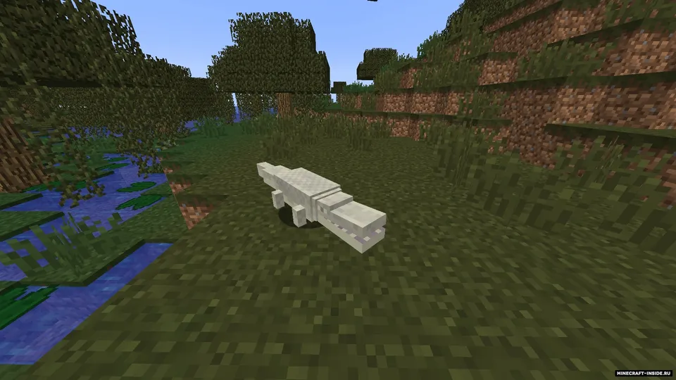 Traitor's Better Swamplands — Minecraft mod, rasm 3