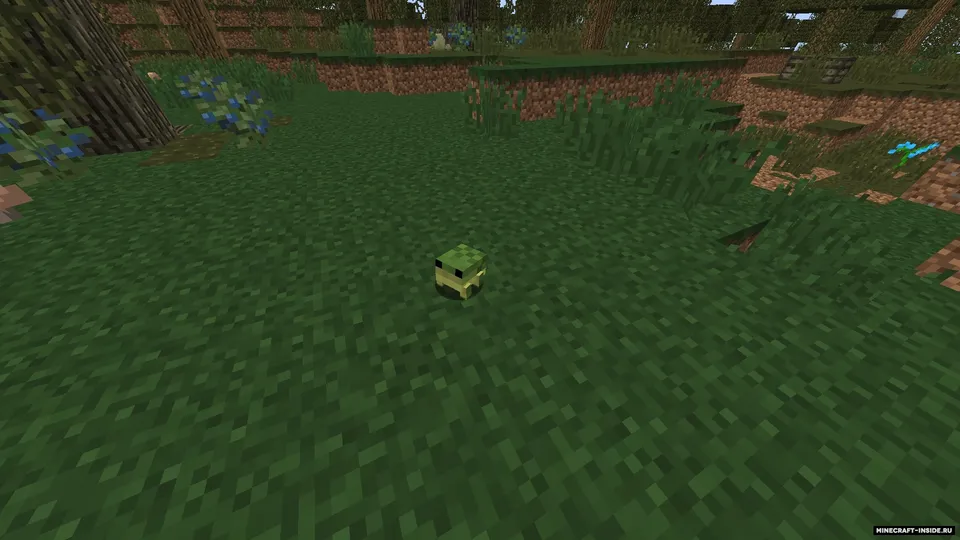 Traitor's Better Swamplands — Minecraft mod, rasm 4