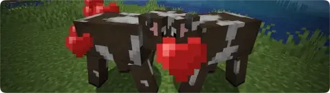 Breeding Hearts