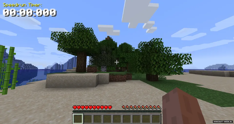 Speedrun Timer — Minecraft mod, rasm 4