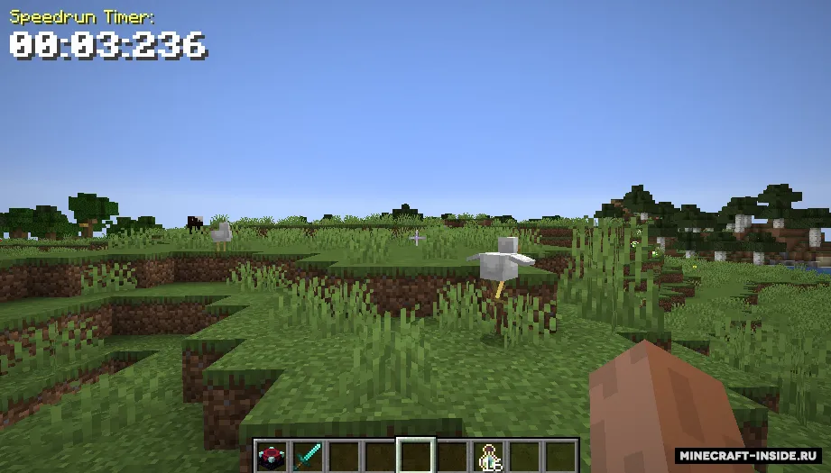 Speedrun Timer — Minecraft mod, rasm 5