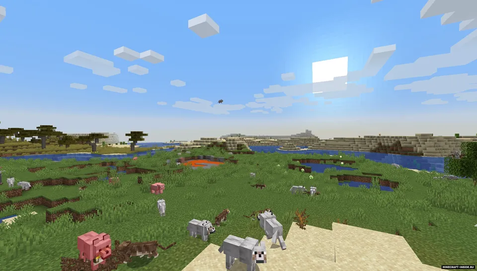 Raining Cats & Dogs — Minecraft mod, rasm 2