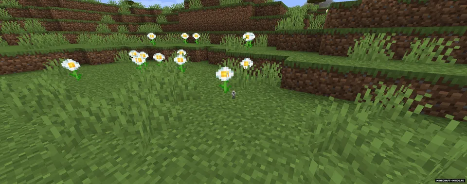Eat and Drink — Minecraft mod, rasm 3