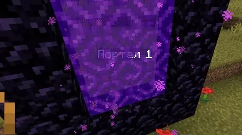 Portal Tags