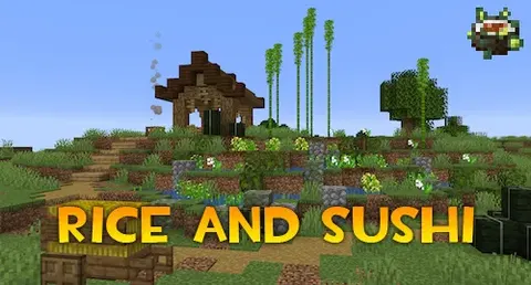 Rice and Sushi