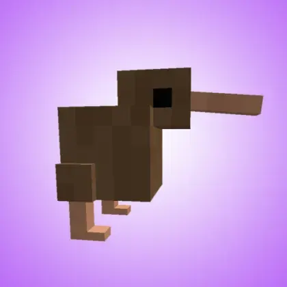 Cute Kiwi Birds