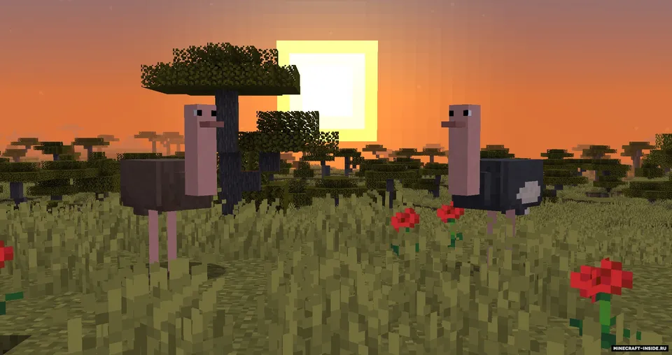Simple Ostriches — Minecraft mod, rasm 2