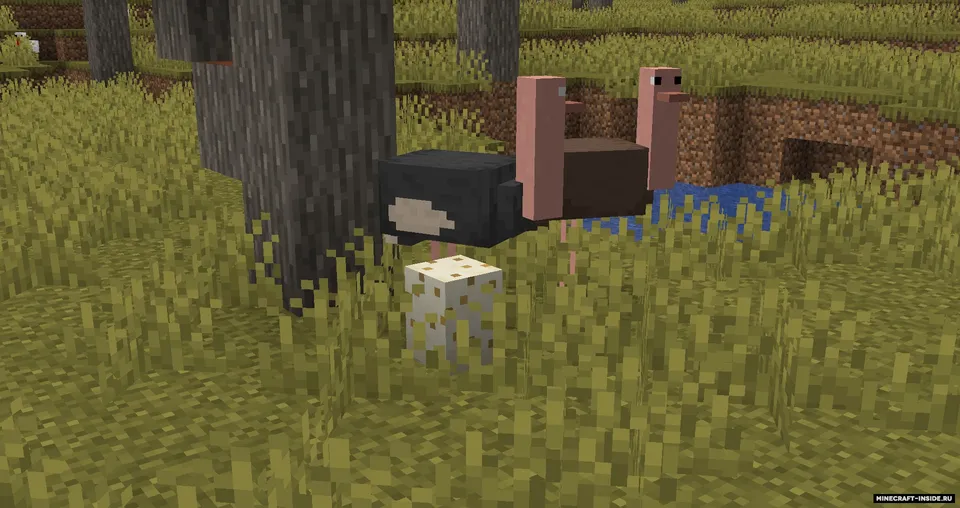 Simple Ostriches — Minecraft mod, rasm 4