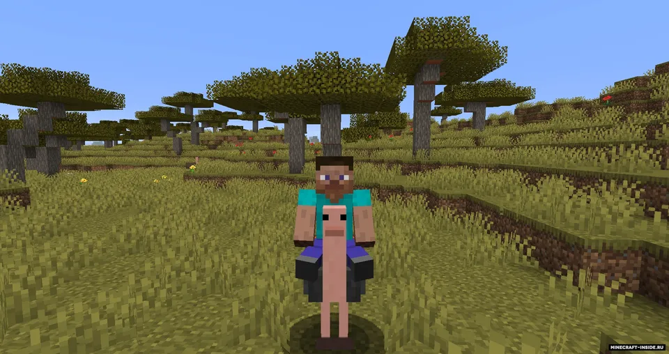 Simple Ostriches — Minecraft mod, rasm 5