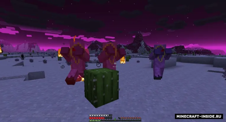 Chaos Realm — Minecraft mod, rasm 5