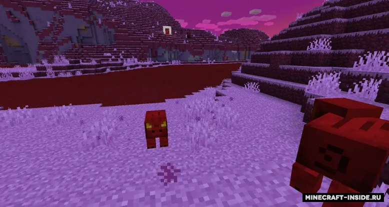 Chaos Realm — Minecraft mod, rasm 6