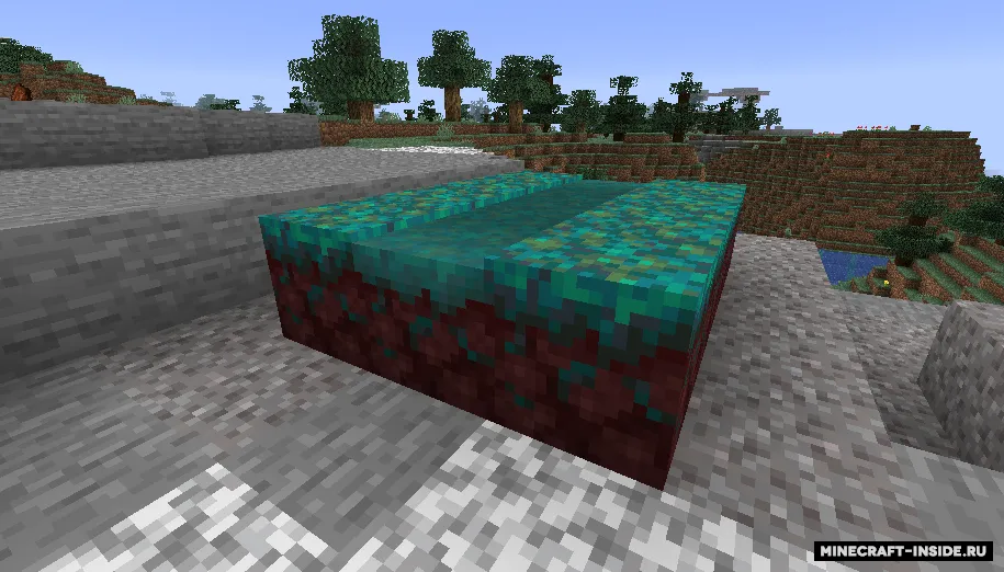 More Paths — Minecraft mod, rasm 3