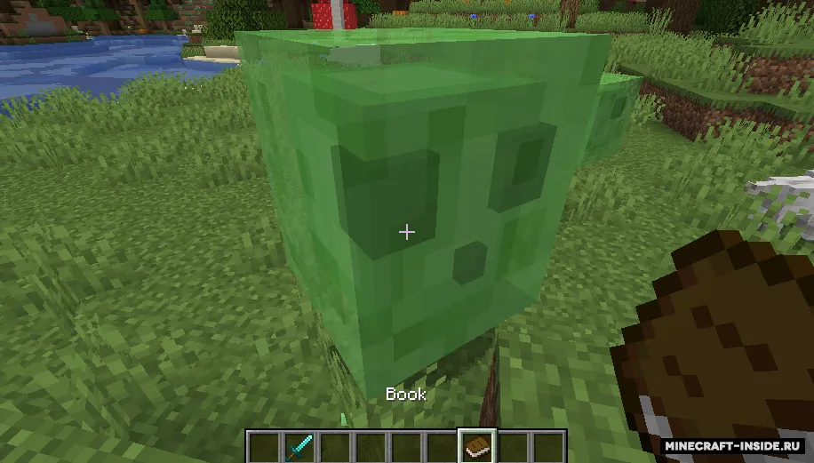 Catch Everything In Book — Minecraft mod, rasm 2