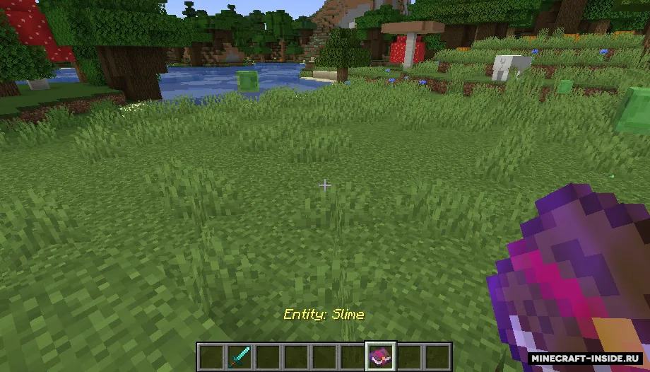 Catch Everything In Book — Minecraft mod, rasm 3
