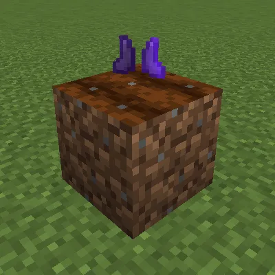 No Trample — Minecraft mod, rasm 1