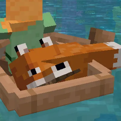 BoatFix — Minecraft mod, rasm 1