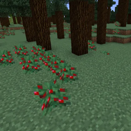 Vanilla+ Biomes — Minecraft mod, rasm 1