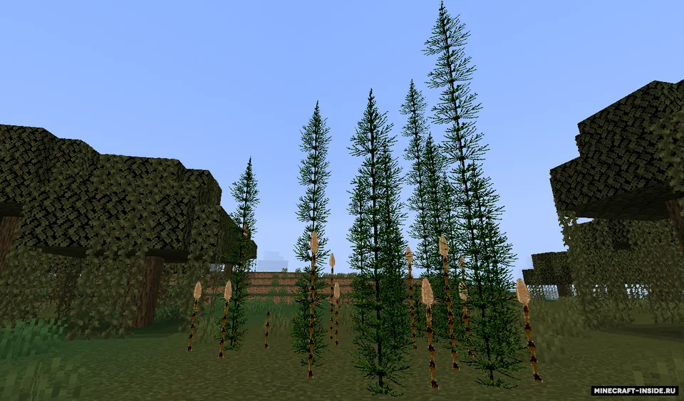 More Plants — Minecraft mod, rasm 2