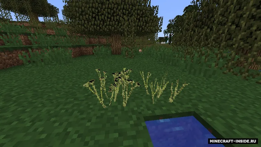 More Plants — Minecraft mod, rasm 5