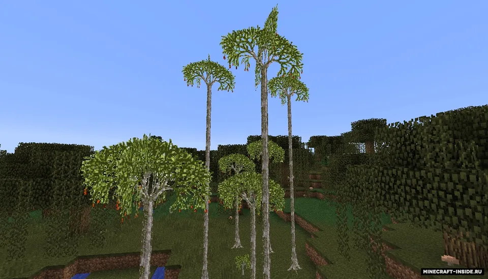 More Plants — Minecraft mod, rasm 7