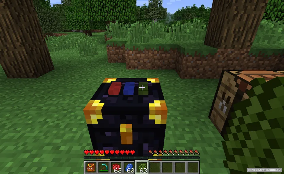 Ender Storage — Minecraft mod, rasm 2