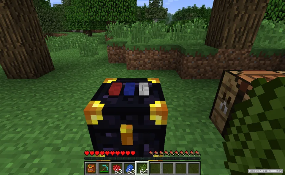Ender Storage — Minecraft mod, rasm 4