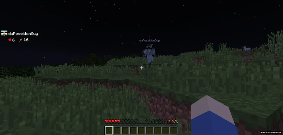 Teams — Minecraft mod, rasm 2