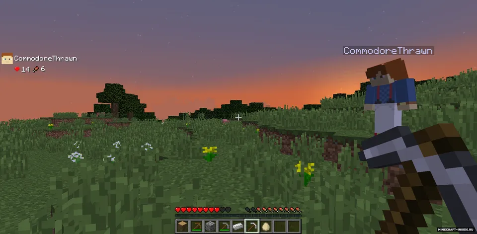 Teams — Minecraft mod, rasm 3