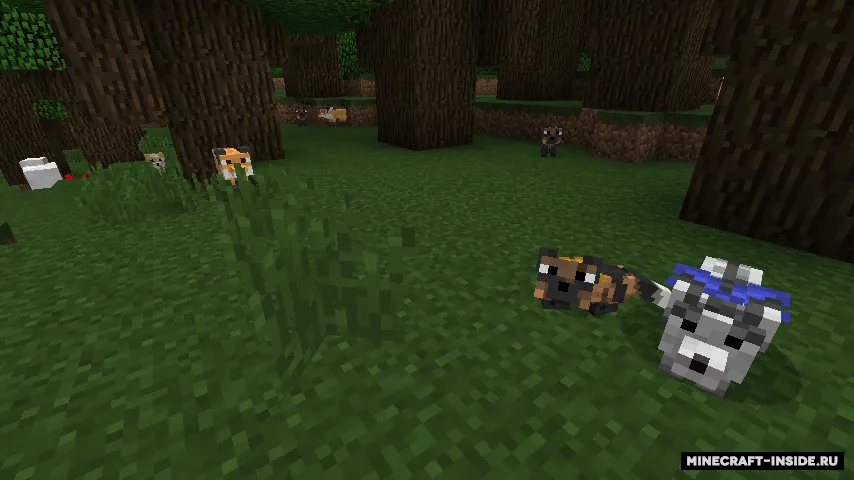Outfox — Minecraft mod, rasm 3