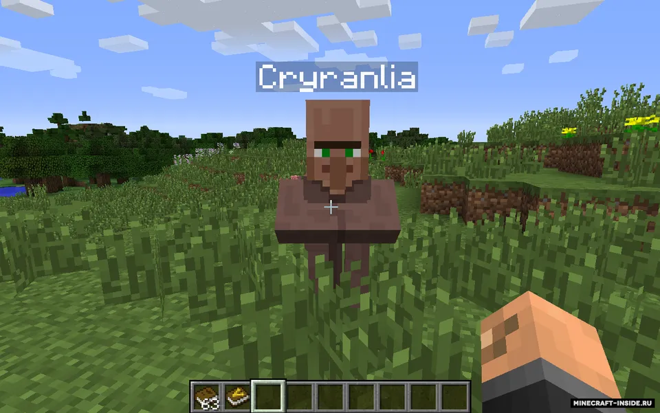 Village Names — Minecraft mod, rasm 2