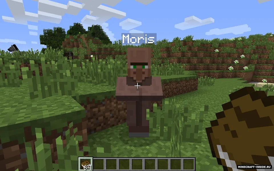 Village Names — Minecraft mod, rasm 7