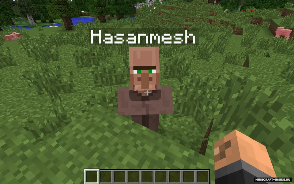 Village Names — Minecraft mod, rasm 8