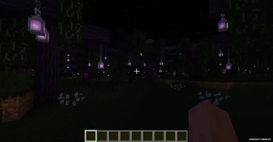 More Biomes — Minecraft mod, rasm 3