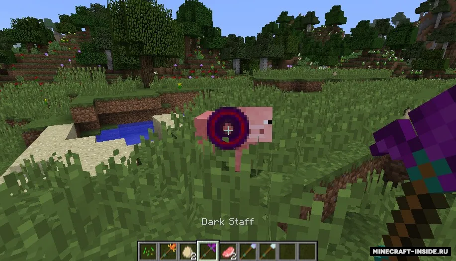 Elementary Staffs — Minecraft mod, rasm 2